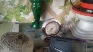 Сделал гадость получил радость (страничка Надежды)