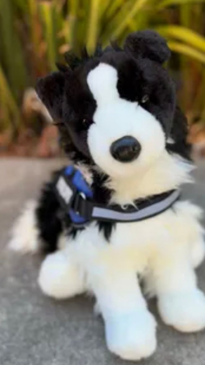 Разборки ПДБ