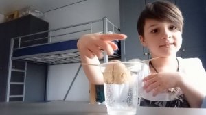 Выращиваем авокадо