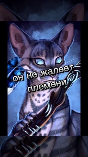 АХАХХАХАХАХАХАХААХ(НЕ МОЕ)