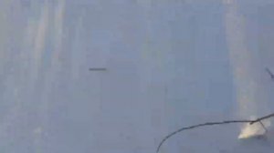 ходил по лесу ЧАСТЬ 1