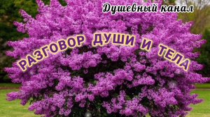 РАЗГОВОР ДУШИ И ТЕЛА