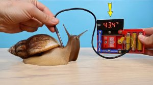 Собрал из Конструктора Термометр для Улитки! DOKA супер измеритель!