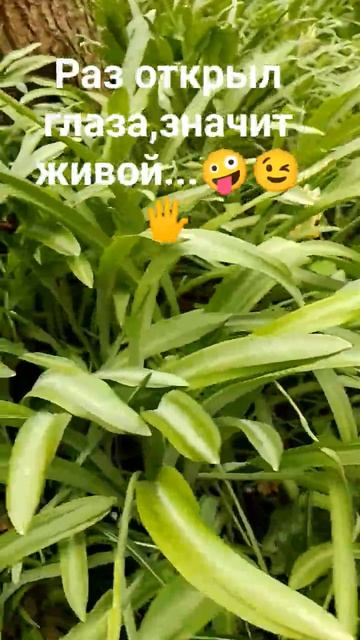 Песня мотиватор😉