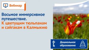 Восьмое иммерсивное путешествие. К цветущим тюльпанам и сайгакам в Калмыкию