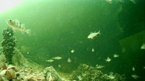 1000012991.mp4Волга гл.2м.09.04.2026г.