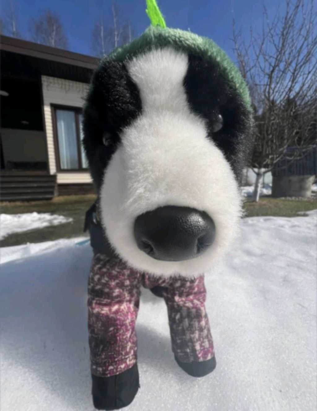 трансляция ( спасибо за 70 пдп 🥳)