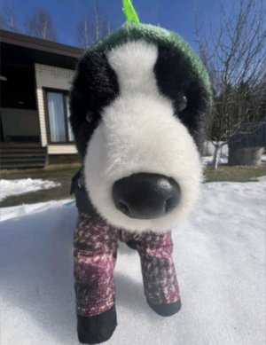 трансляция ( спасибо за 70 пдп 🥳)