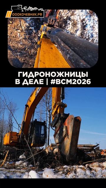 Корчевательные ножницы снова в деле!