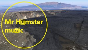 Mr Humster muzic / bell bit 12