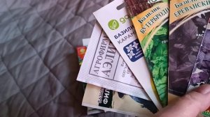 Что посеять в апреле на рассаду?