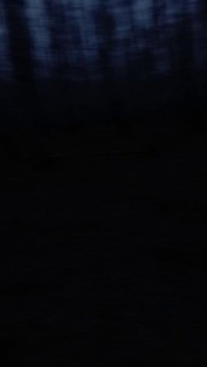 #природа#животные