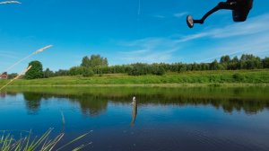 Поймал и отпустил