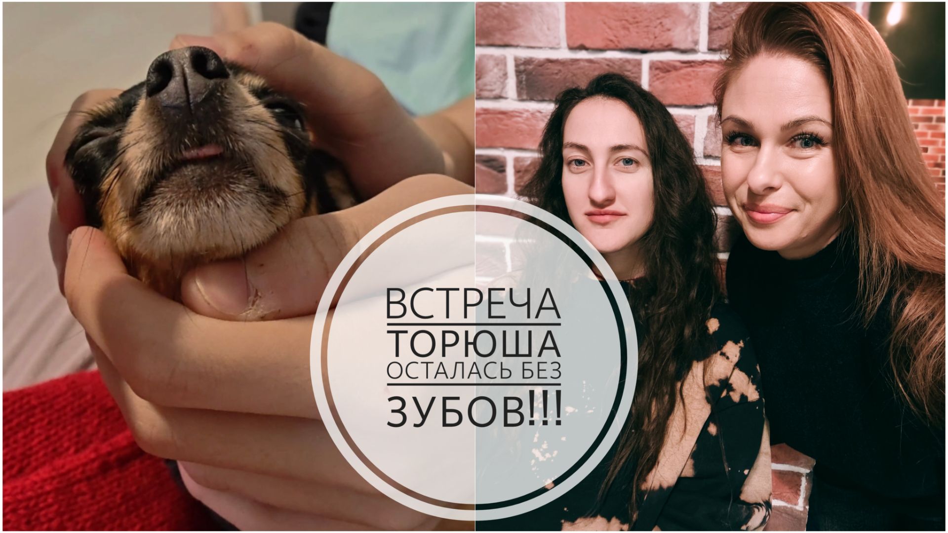 90/26. Нашла идеальную краску для волос// Тема заболел//Ищу лекарство//Встреча❤️// Mariya VD LIFE.