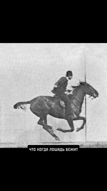 Эдвард Мейбридж #история #хочуфакты #этотдень #факты #искусство #history  #наука #historicalfacts