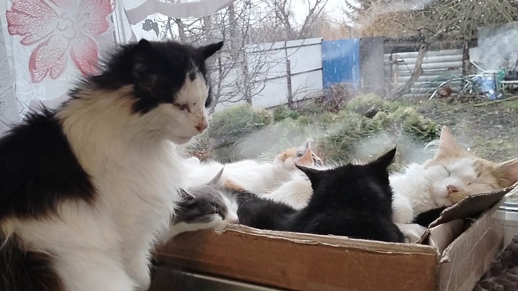 РАСПОЛНЫМ ПОЛНА МОЯ КОРОБОЧКА И ТИШИНА! СОННОЕ ЦАРСТВО.