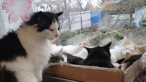 РАСПОЛНЫМ ПОЛНА МОЯ КОРОБОЧКА И ТИШИНА! СОННОЕ ЦАРСТВО.