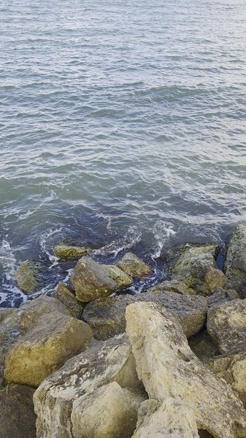 Таманский берег