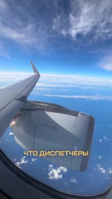 Я летел в Новую Зеландию, а оказался в Японии. Игорь Макаров #бизнес #ростбизнеса #бренд