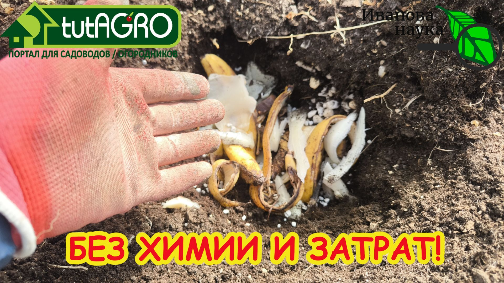 Секрет ЖИВОЙ ЗЕМЛИ: что положить в почву, чтобы урожай был в 2 раза больше. Огород без удобрений.