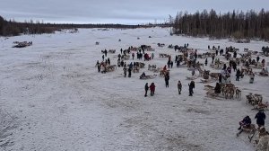 8/ День Оленевода - 2026 город Новый Уренгой Ямало - Ненецкий автономный Округ 5 Апреля 2026г.
