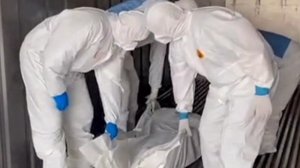 ‼️🇷🇺🇺🇦 1000 на 41: Очередной обмен телами погибших прошел между Россией и Украиной, — СМИ