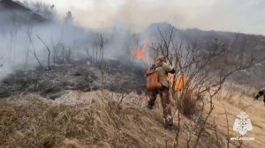 Ландшафтный пожар в Шебалинском районе Республики Алтай