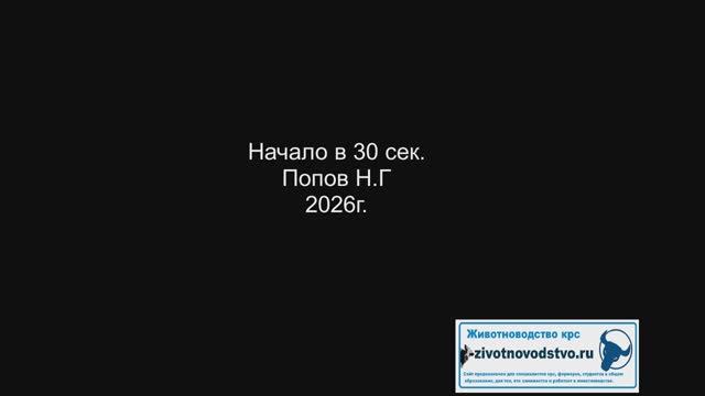 Общие вопросы в целом о животноводстве крс