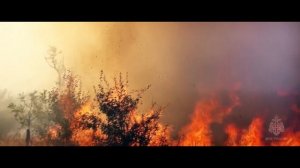 Денежная награда за сообщение о поджигателях