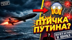 Юмористы из Пентагона резко замолкли птичка Путина оказалась супероружием