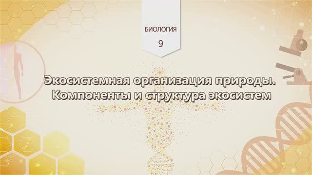 Экосистемная организация природы. Компоненты и структура экосистем