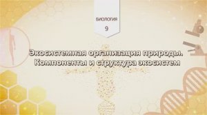 Экосистемная организация природы. Компоненты и структура экосистем