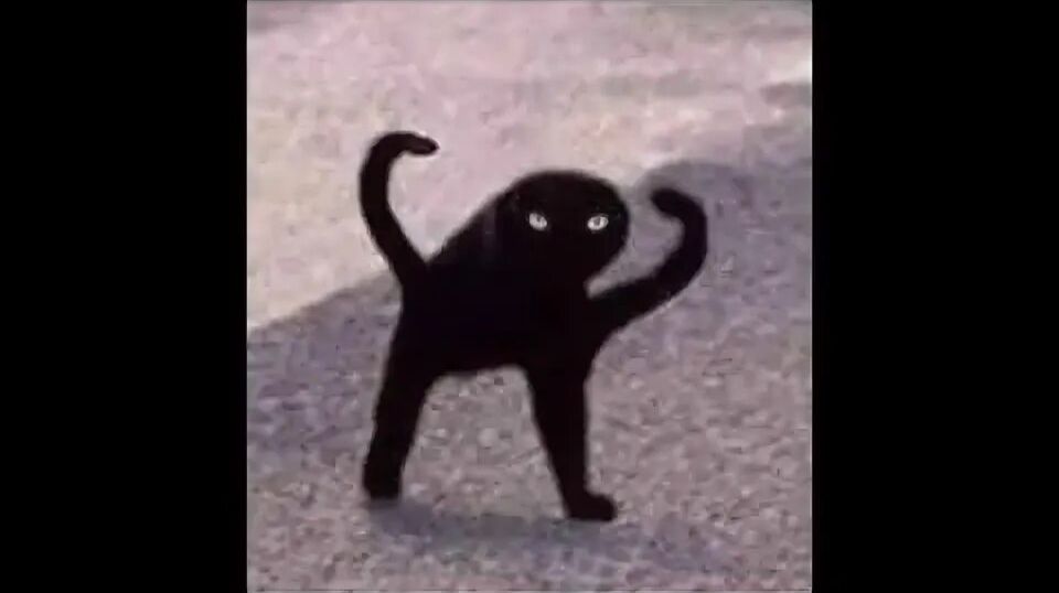 (Reupload) Basics In Behavior P2 (в хорошем качестве)