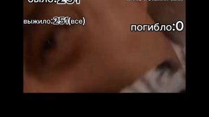 53-ая авиакотострофа