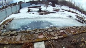 Пруд на даче весной, как перезимовала рыба