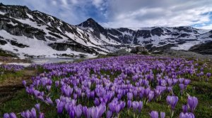 Весенняя песенка