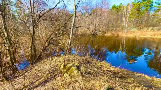 У реки в лесу, окрестности города Асбест