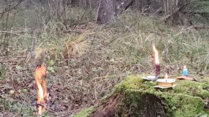 Обратка врагу порчи на ,,след,, Чистка!