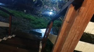 СОЧИ ГОРНОЕ ЛОО УТРО 09.94. 2026