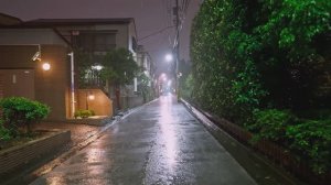 【4K HDR】 Прогулка под проливным дождем в Токио по задворкам Синдзюку #ASMR