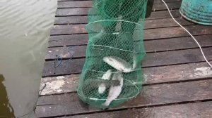 09.04.26 г. РК Волна.