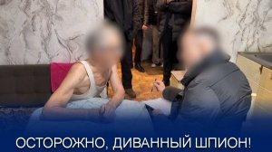 ОСТОРОЖНО, ДИВАННЫЙ ШПИОН!