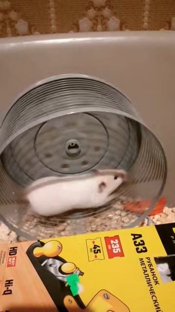 Культура осмысления Жизни