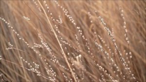 Слова, которые за одну ночь обрывают карму безденежья.