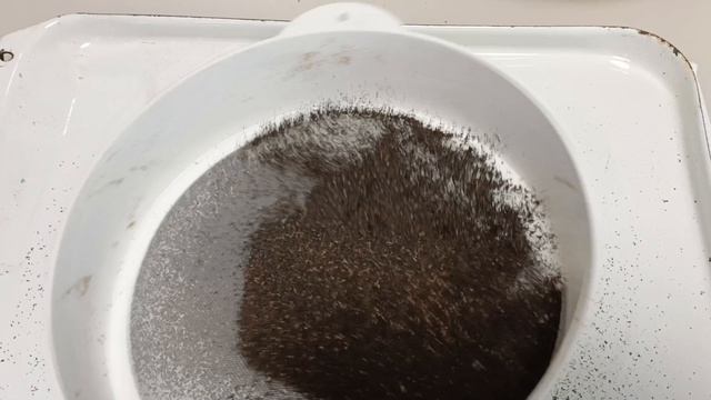 ПросеиваемПЖЛВМ 
Заселяем молярий