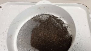 ПросеиваемПЖЛВМ 
Заселяем молярий