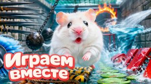ХОМЯК ВЫБИРАЕТСЯ ИЗ СЕКРЕТНОЙ ХОМЯЧЕЙ ТЮРЬМЫ ! Играем ВМЕСТЕ 🏁 Помогаем выбраться из лабиринта №3