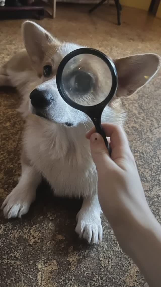 Киану  1 минутная презентация.