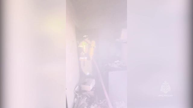 ✅ Новоазовские пожарные защитили от стихии частный сектор