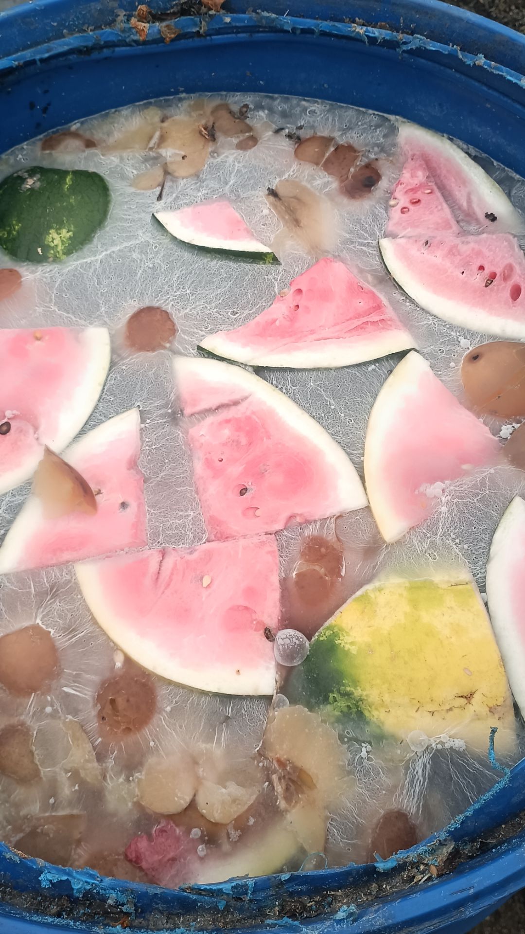 Синяя Бочка  для земляники